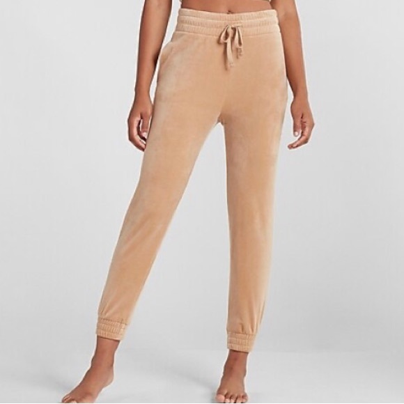 EXPRESS High Waisted Velour Joggers Size Medium - Picture 6 of 6
